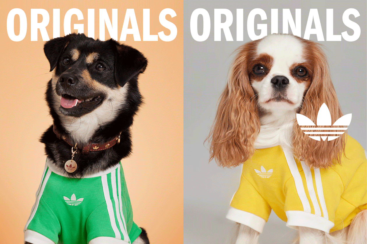 Originals Pet Collection